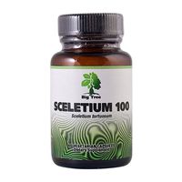 Big Tree African Herbal Medicines - Sceletium 100